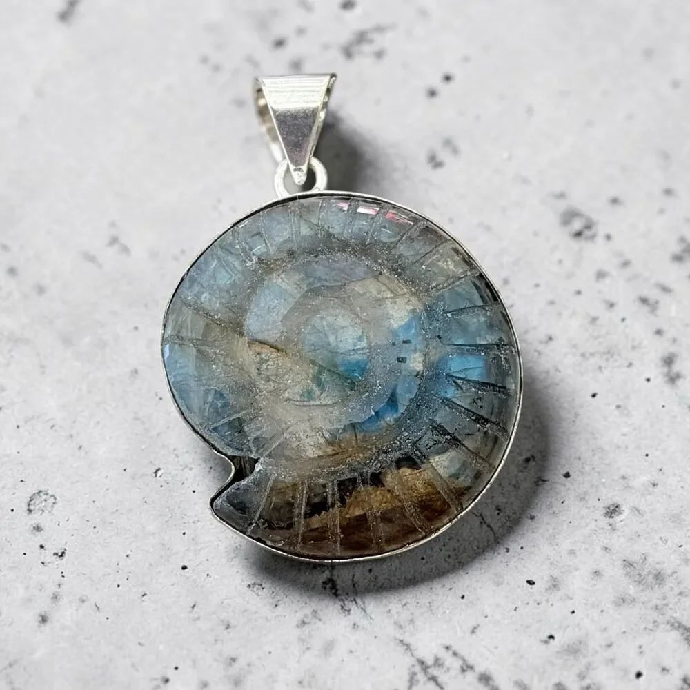 Carved Labradorite Ammonite Pendant 925 Silver Plated